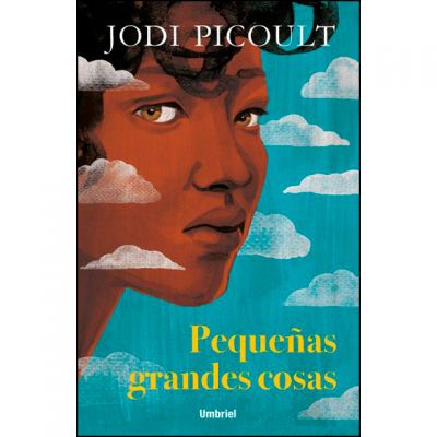 PEQUEÑAS GRANDES COSAS, JODI PICOULT