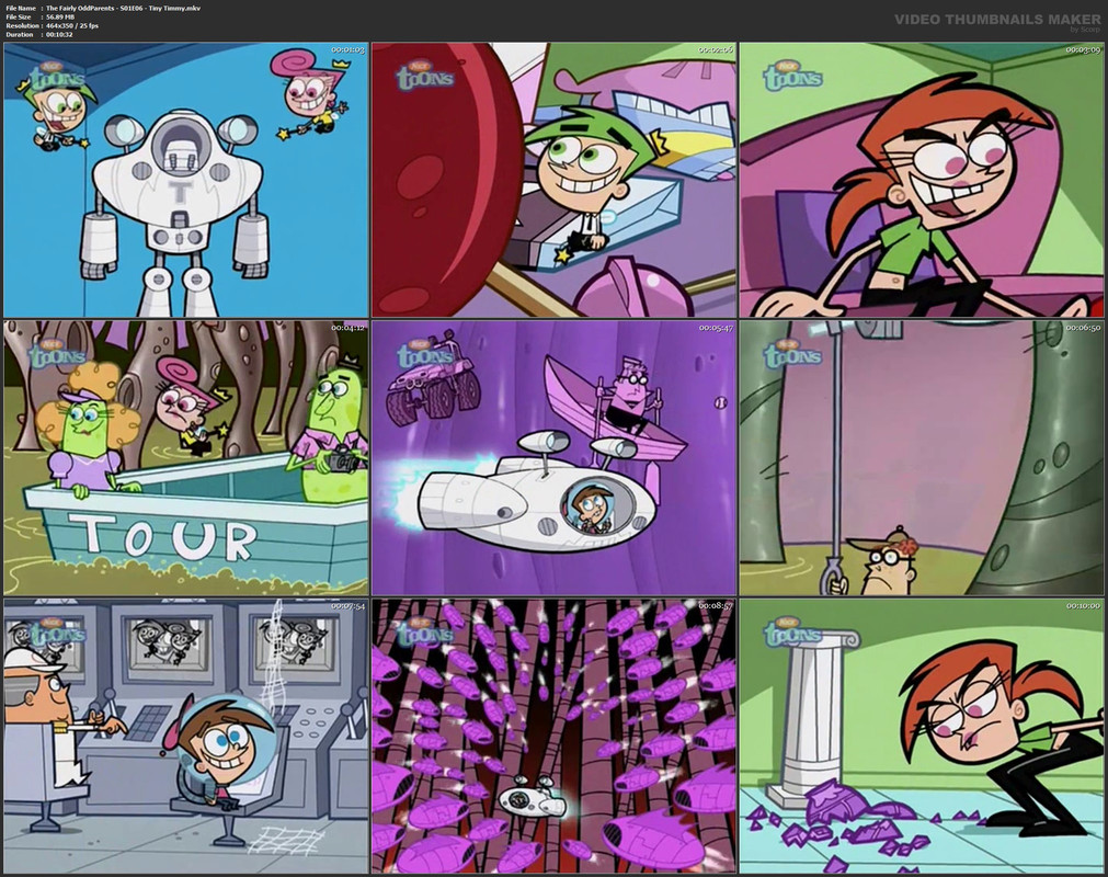 The Fairly OddParents - S01E06 - Tiny Timmy.mkv