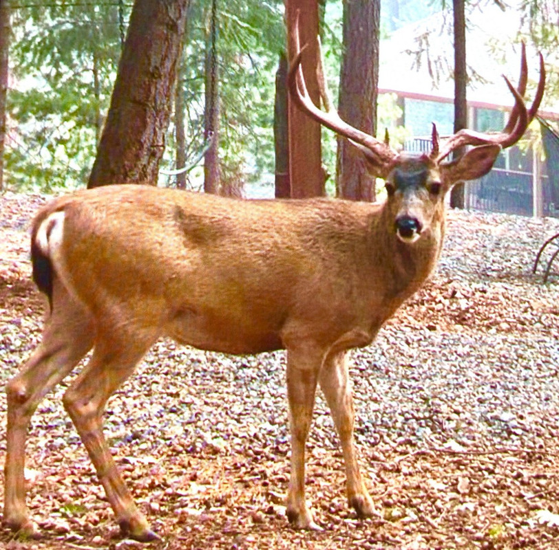 4813F66B-A0D8-40D6-878F-240AC43B40AA