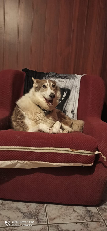 E27F64CF-BDAE-49DE-8352-23B3262CD3AA