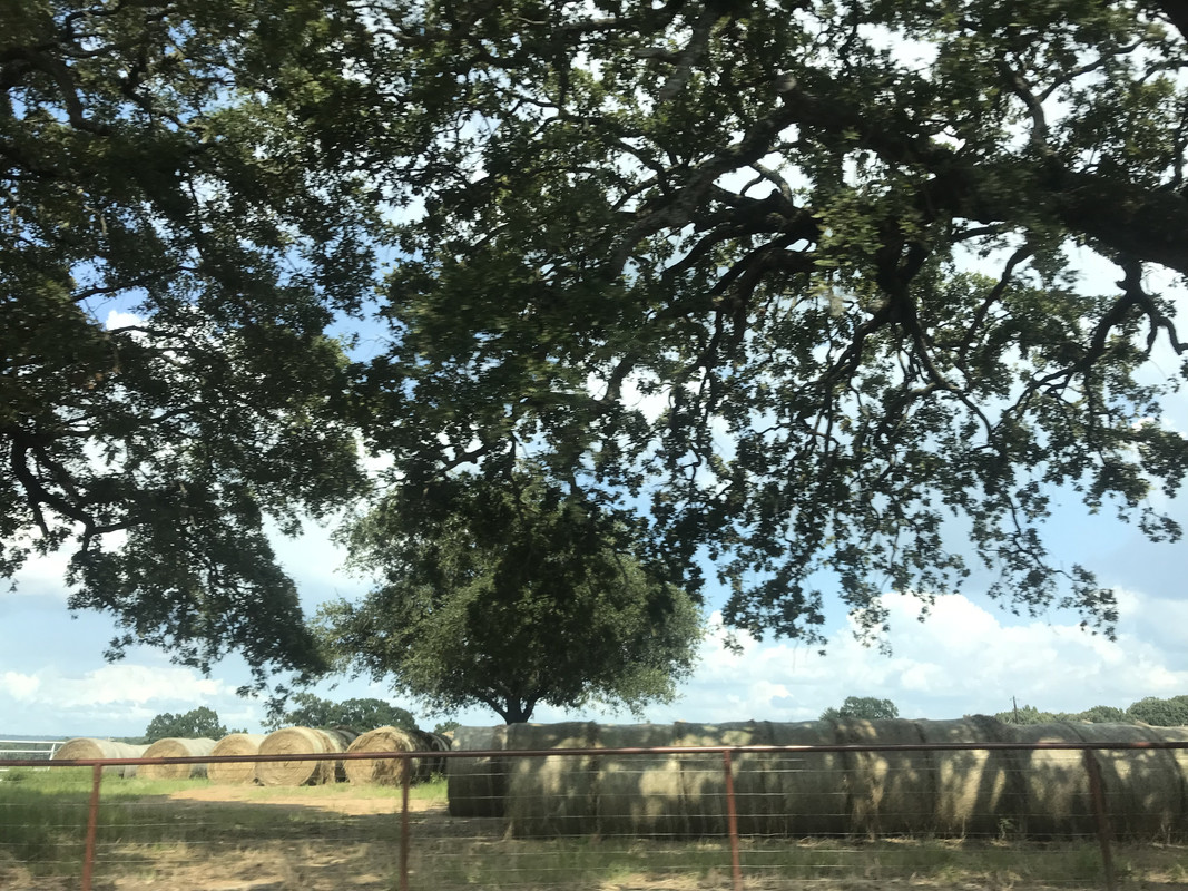 A3DDE54D-7B9A-4704-BBFB-FB3E38C61705