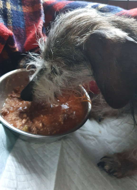 [Image: 20200623-211507.jpg]