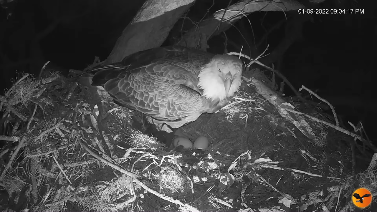 EC 4K Overhead Cam 6-44-10 screenshot