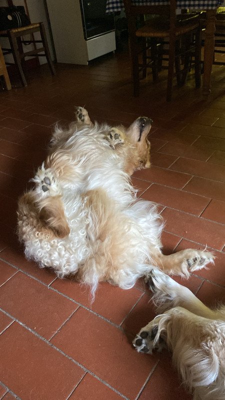 858215E1-92BF-4BD5-92F6-55B427EC12F2