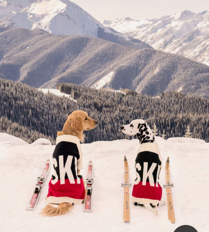 Screenshot_20231211_194720_Pinterest