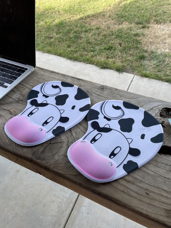 748C36D3-DE6B-497D-AC61-8108D7076493