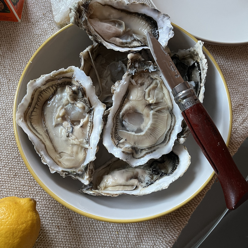 88846919-201B-4CE6-8646-06CF8BEFC742