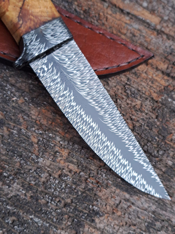 WhatsApp Image 2023-04-25 at 09.22.04 (2)