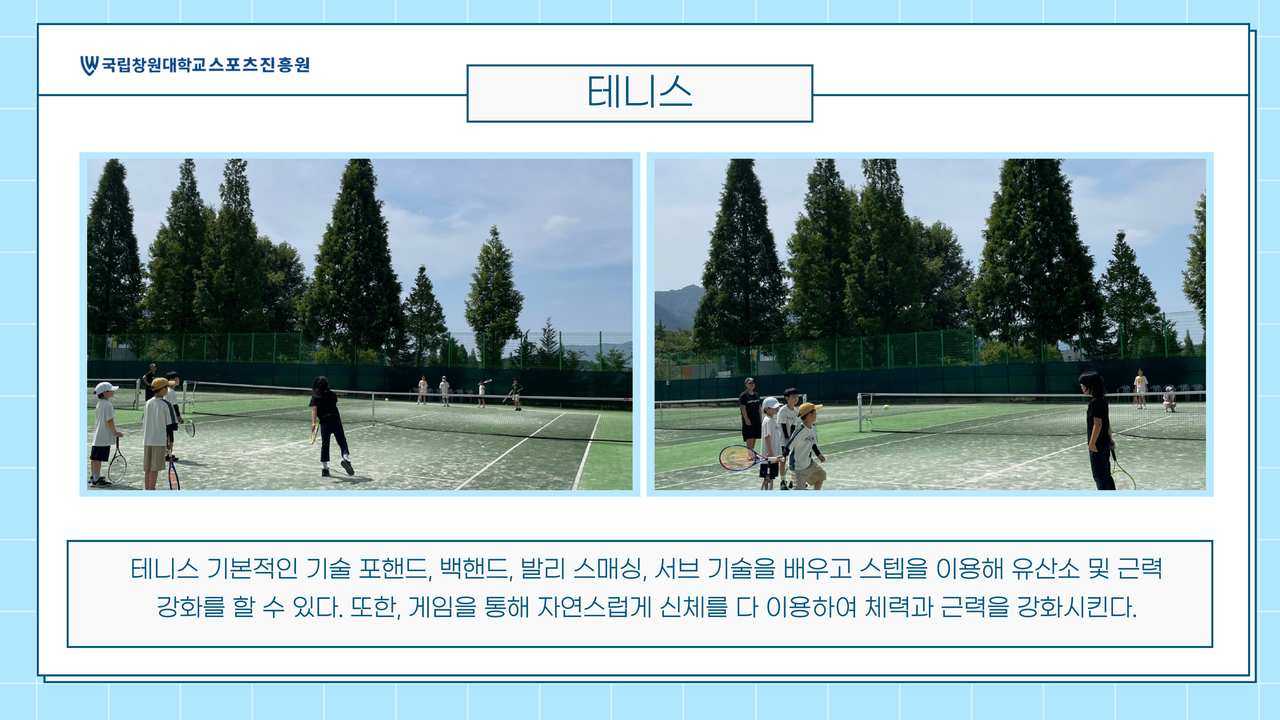 테니스1