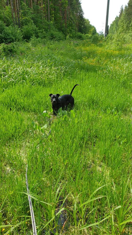 1EC4DA14-97F9-4ABC-B28B-02889456BE21