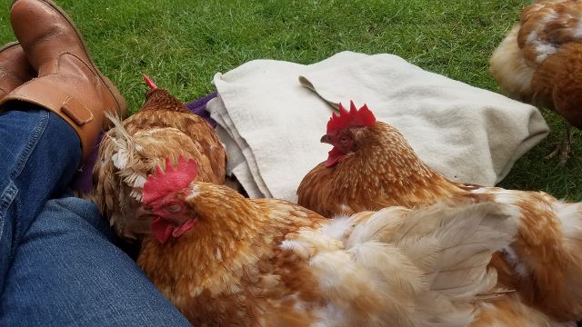 20190820_161308 (640x360)