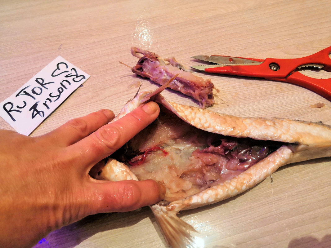 IMG-20230115-172955-2.jpg
