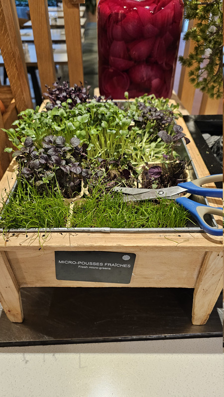 開心農場,想吃什麼自己剪