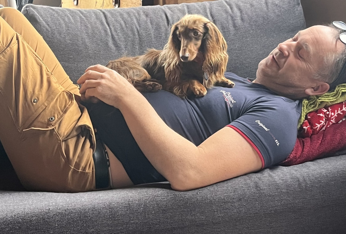 [Image: IMG-1176.jpg]