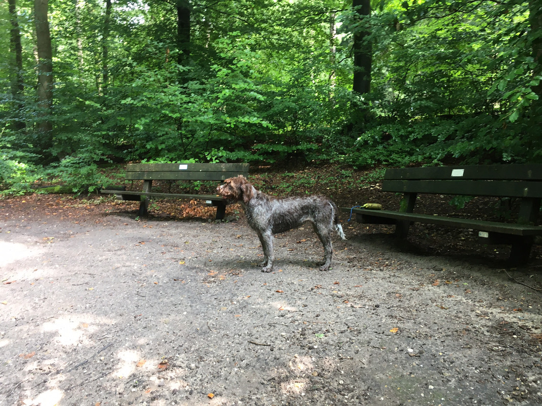 2023-31-08 jarig IMG_2638 (002)