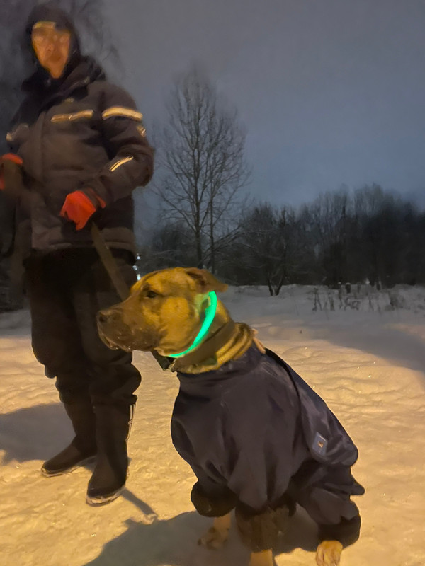 3352D978-7C3E-4930-93C6-07AF24F3E4C6