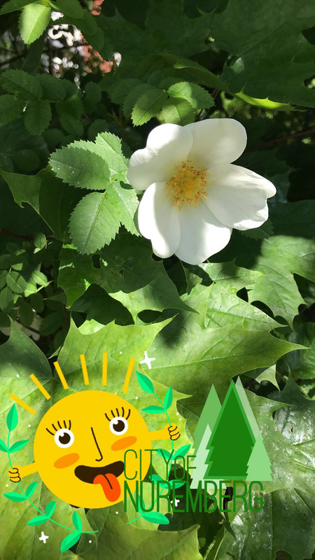 2BD4E229-B74D-44F2-9C71-447740FF1D3E