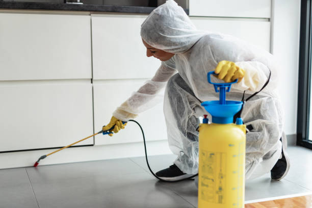 Tampa pest control