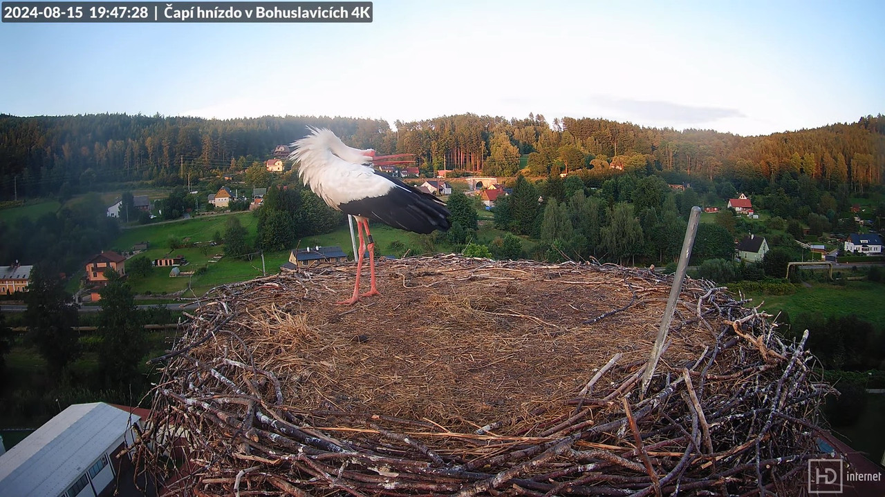 Tiešraidē no uzņēmuma KARA stārķa skursteņa Bohuslavicē pie Trutnovas 15-1-33 screenshot