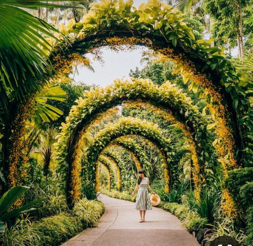 Screenshot_20230409_195813_Pinterest