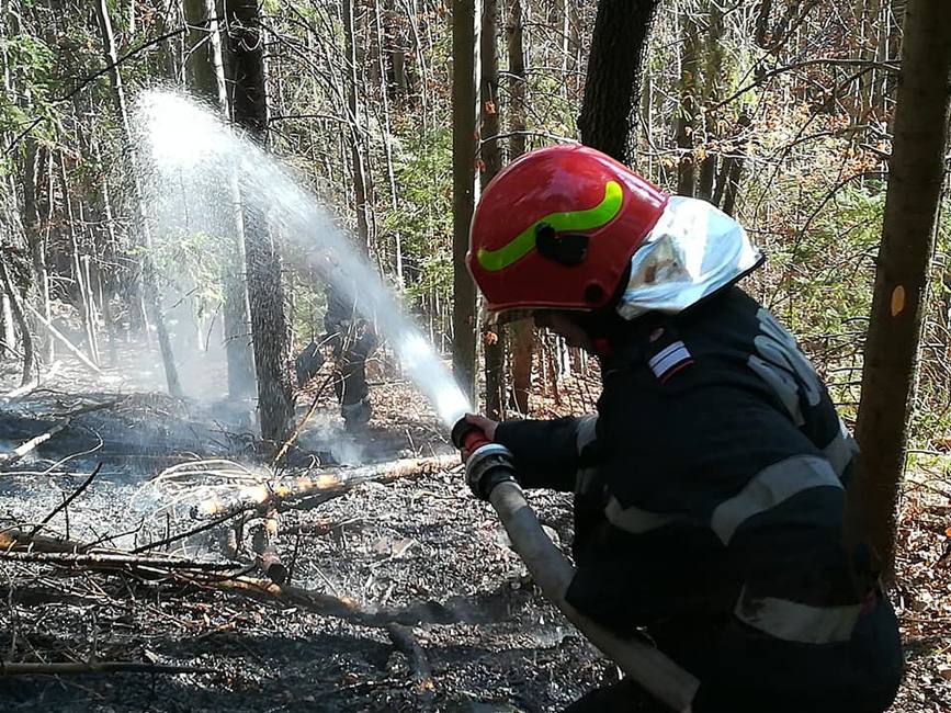 [Imagine: Incendiu-de-litiera-si-doboraturi-in-pad...omunei.jpg]