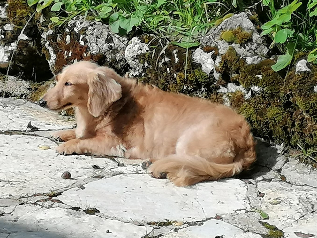 [Image: image000000-139.jpg]