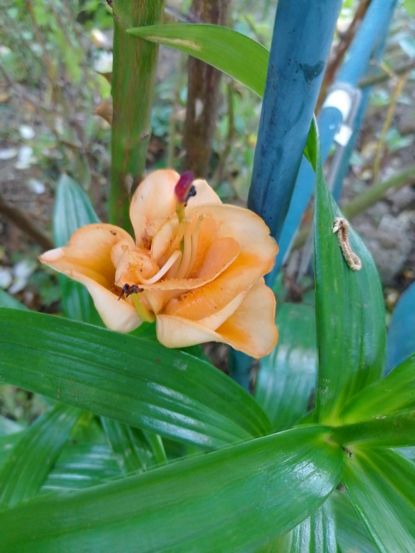 IMG_20230606_070649_HDR