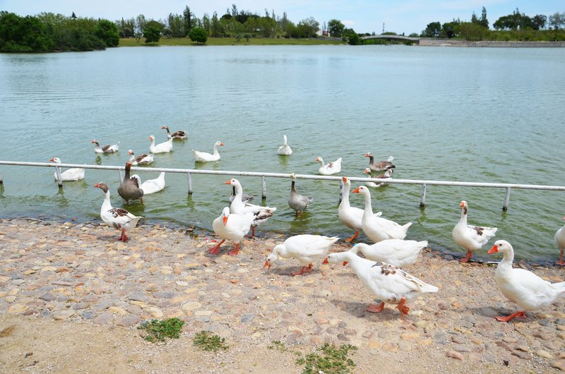 PARQUE DE POLVORANCA-2016/2022-MADRID - Paseando por España-1991/2016 (5)
