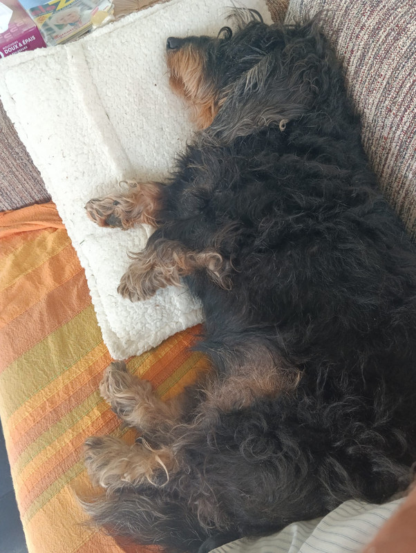 [Image: IMG-20251013-WA0008.jpg]