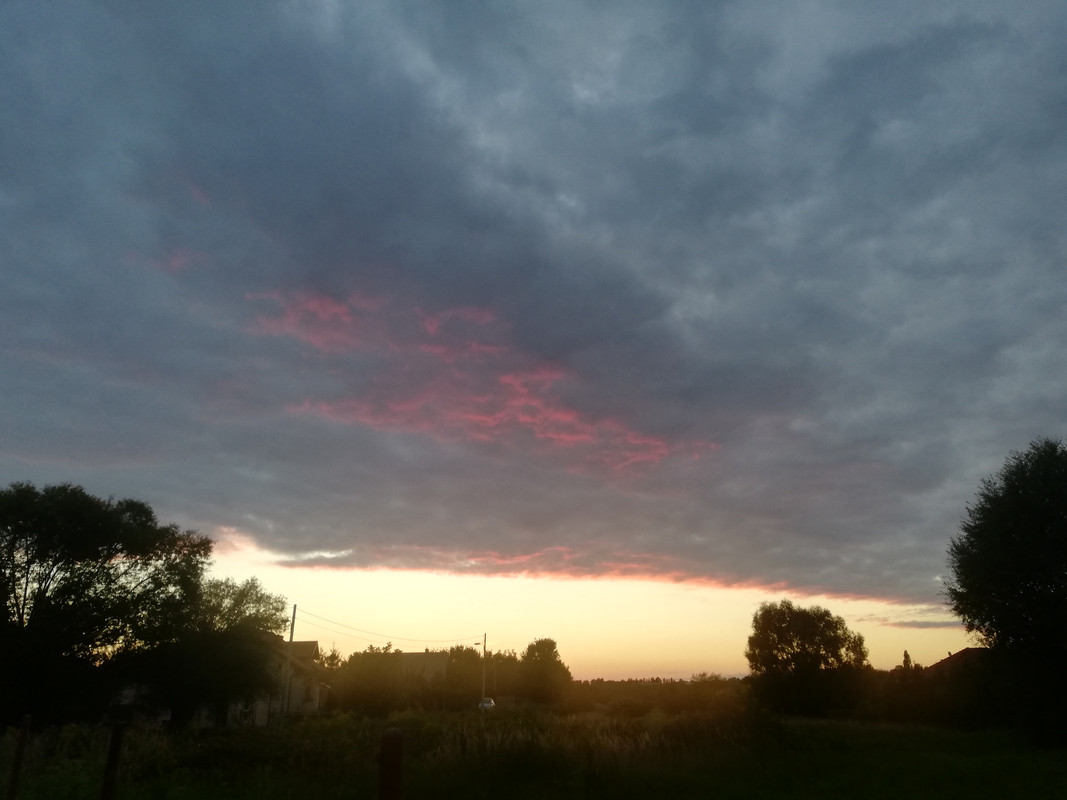 [Obrazek: IMG-20220903-192129.jpg]