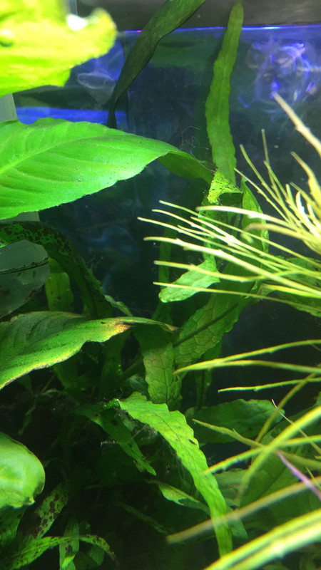 WhatsApp Image 2018-06-13 at 21.57.15 (1)