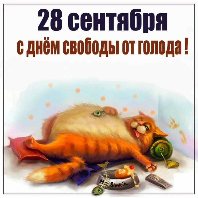 IMG_20230928_112815_531