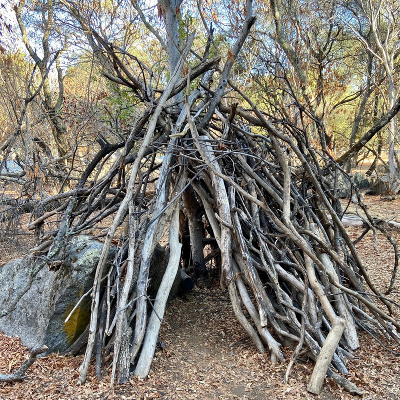 50BAD8D2-ECA7-444C-AC27-D771EF397CF1