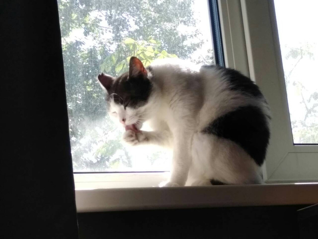 IMG-506fdc9ed43b12ed6911c6a132dc7c55-V