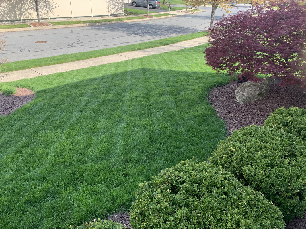 99920715-9129-4D76-97C4-AF8E54C1174C