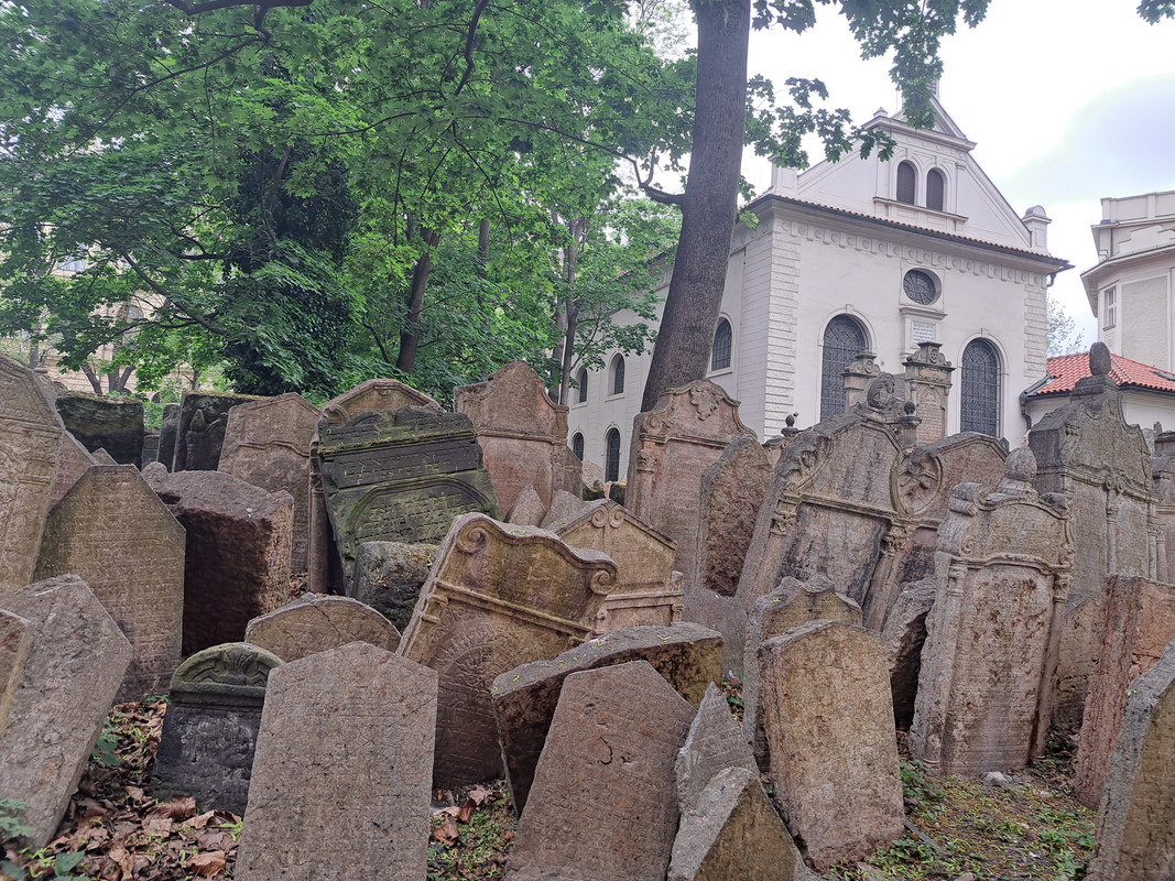 07.07 - 20240503_103411 (TomaszK)