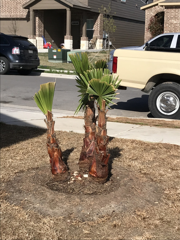 D1CB89A8-74F9-46B8-86C7-16FE9246E1C1