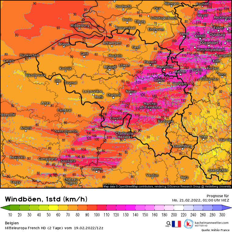 de-model-de-310-1-modfrahd-2022021912-36-644-11.png