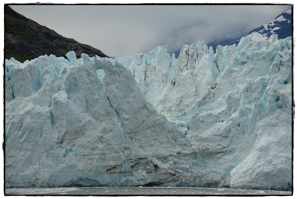 Alaska por tierra, mar y aire - Blogs de America Norte - 22 de junio. Navegando por Glacier Bay (9)