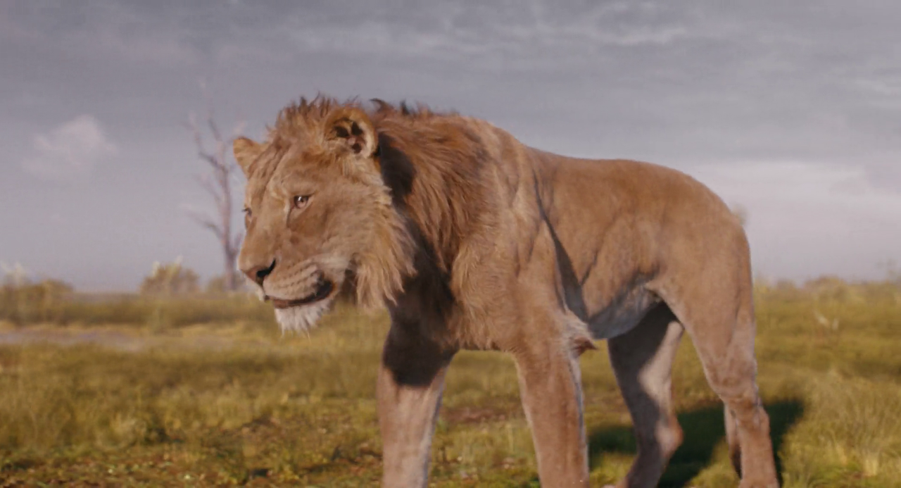 vlcsnap-2025-02-19-18h54m37s766