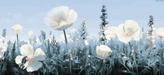 unnamed-11