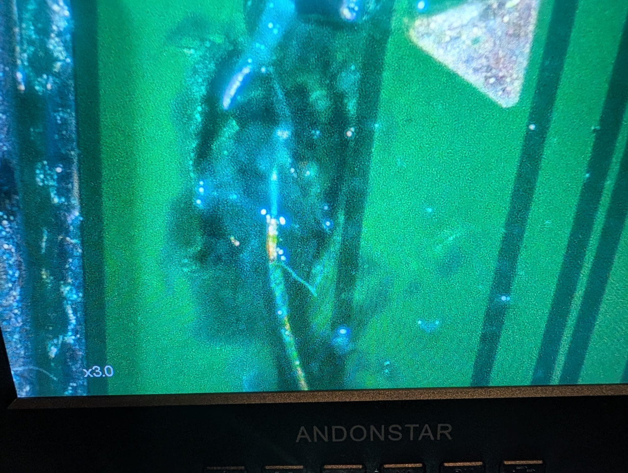 Whats App Image 2026 01 17 at 16 27 12 (2)