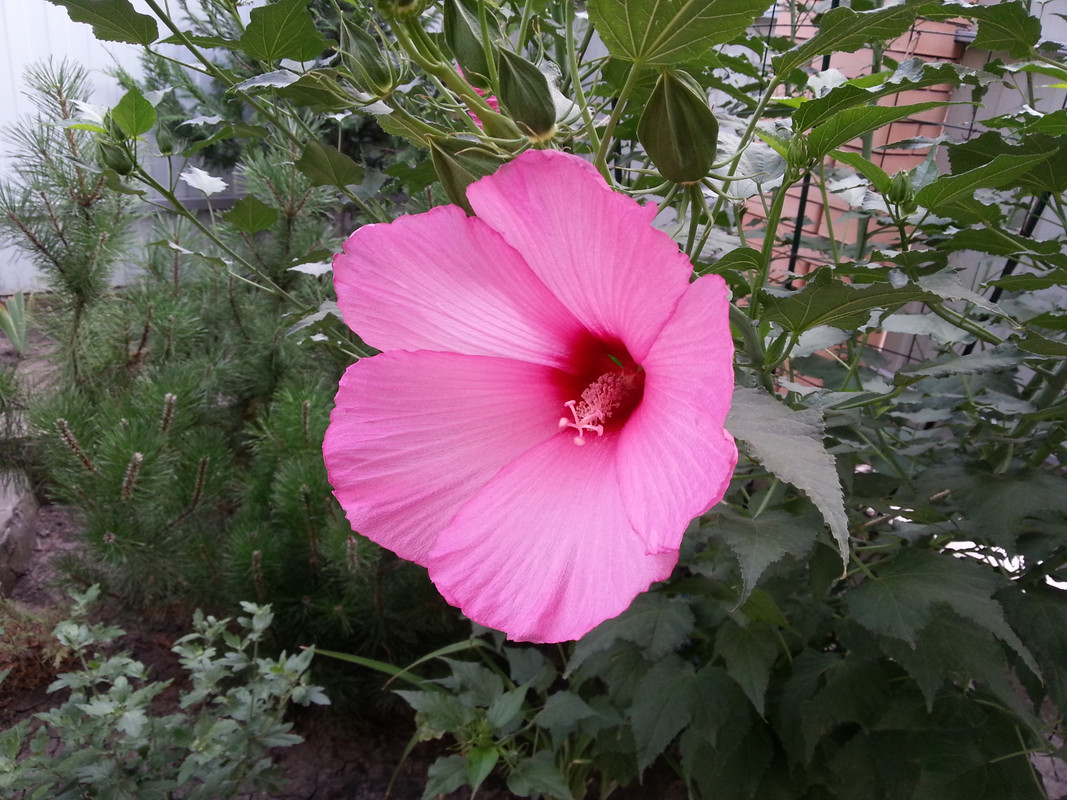 20180723_174034