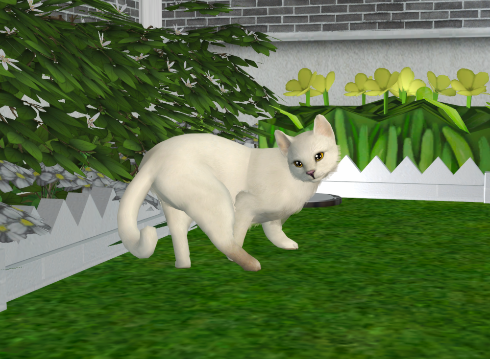 Sims2-EP9-RPC-2022-04-03-17-57-00-56