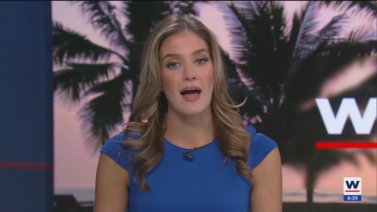 WINK NEWS at 600am Sunday_20250302_11001200.ts_snapshot_36.25.513