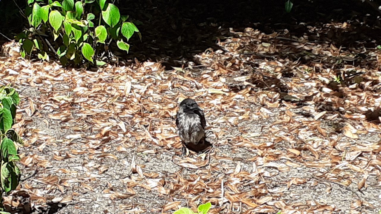 003 - 20200728_122654