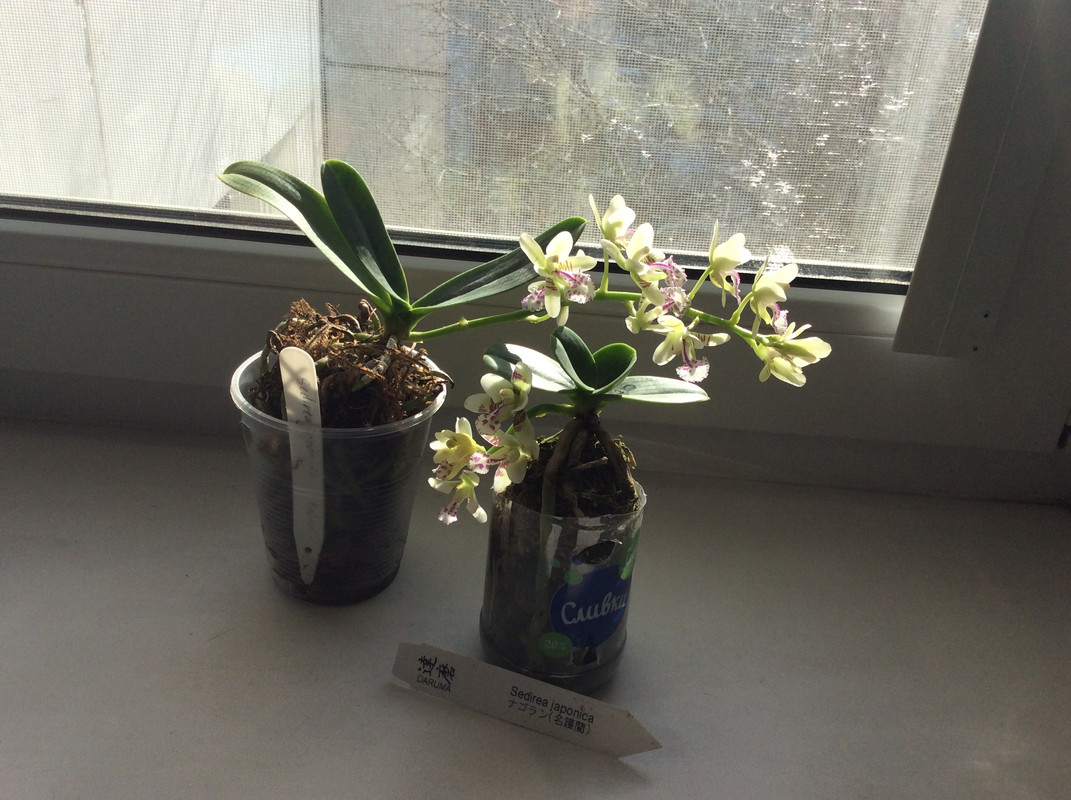 9BFE041D-4668-4B52-826B-0F57F5C3E702