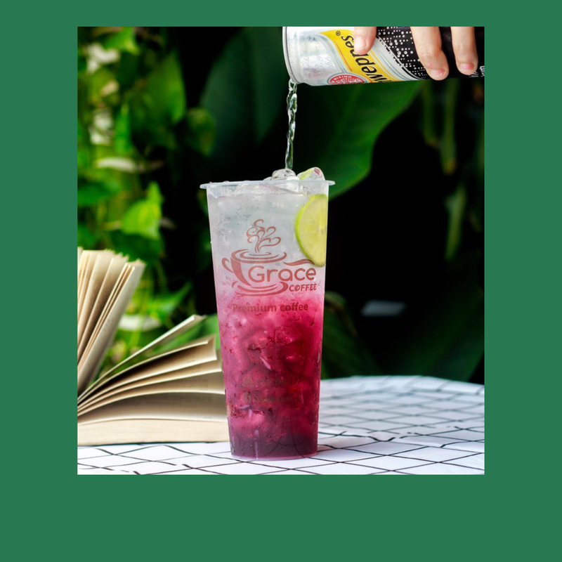 ប្លូបឺរីសូដា