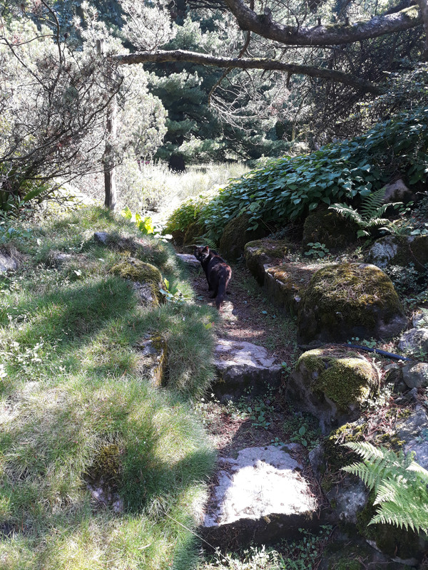 010 - 20200814_110918