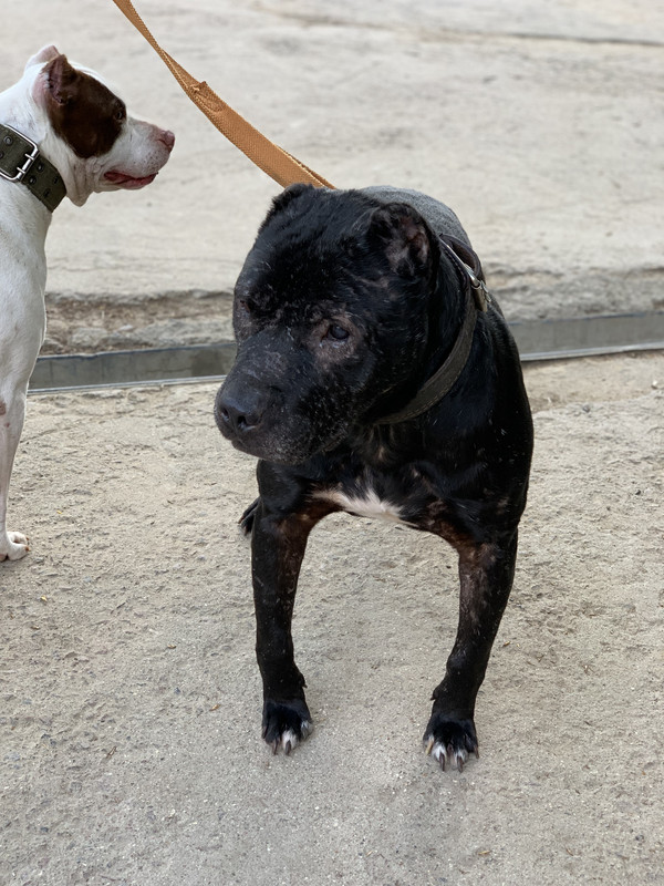 4840942D-C6A1-44AE-90C6-2E181AB60288